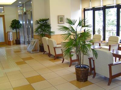 Route-inn Hotel 3*